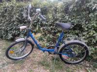 Pony kolo Rog 20''
