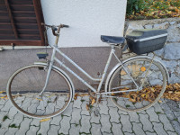 Rog Senior zamenjam za gorsko kolo