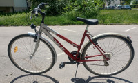Žensko kolo 28 col na prestave