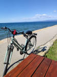 ŽENSKO MESTNO KOLO DENVER 28" MINT D-ROAD S 6 PRESTAVAMI