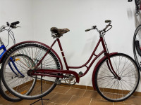 Zensko retro kolo Hercules