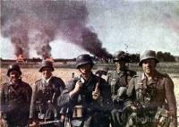 Dvd - 12500 slik nemške vojske v WW2
