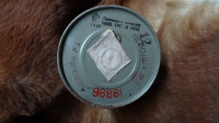 Plinkska maska filter letnik 1940