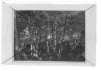 PODGOZD - SOŠKA FRONTA - MAŠA, 1916