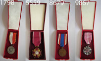 Poljska medalja v etuiju