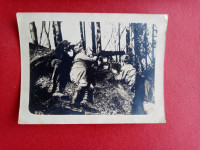 1.svetovna vojna.Vojaška fotografija z mitraljezom v gozdnem okolju