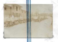 VOZIČKI ZA PASJO VPREGO IN PREVOZ MUNICIJE, 1917