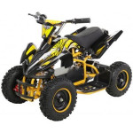 ATV mini elektro 6 col RAPTOR 800W ali 1000W VSA OPREMA