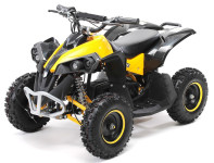 MINI ATV ELEKTRO RENEGADE 1000W klasik ali XL velikost - na obroke