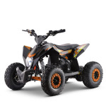 OTROŠKI ELEKTRIČNI ŠTIRIKOLESNIK Roughrider 1000W