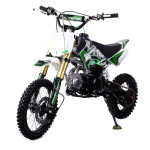 PITBIKE MOTORS CRF50 125CCM - leanpay, na obroke