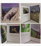 LEPOSLOVJE ■Cvetoče gore (F Stele), nova knjiga