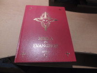 BERILA IN EVANGELIJI ZA NEDELJE IN PRAZNIKE ZA LETO C ZALOŽBA DRUŽINA