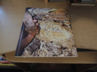 KRŠČANSKI ZAKON IN DRUŽINA: NJUNA LEPOTA IN IZZIVI: PRIROČNIK ZA