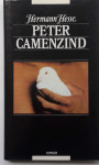 PETER CAMENZIND, Hermann Hesse