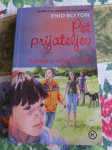 BLYTON  Pet prijateljev Letala v viharni noči