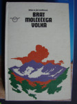 BRAT MOLČEČEGA VOLKA
