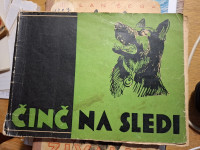 ČINČ NA SLEDI