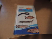 MOJE PRVE RIBE CELINSKIH VODA B. BAJD ZALOŽBA HART 2017