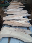 Les korenina oreha, suh, površinsko brušen, 12 kosov 40x8-14x1,8cm