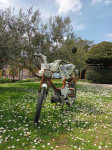 Puch ROG PONY EXPRESS 50 cm3