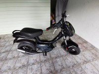 Tomos youngster racing 25 50 cm3