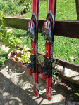 ATOMIC 7-20  170 cm Maribor Slovenska Bistrica Celje