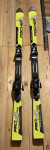 Fischer RC4 World Cup GS 148cm