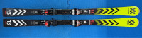Volkl SL racetiger Master