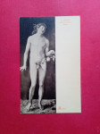 A.Dürer.Madrid,Prado.Adam.Nag moški