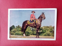 A Royal Canadian Mounted Policeman.Kanadski konjeniški policist,konj
