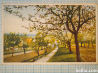 Razglednica SLIKARSTVO