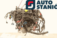 Motor RENAULT KANGOO II (K9K(628)) (JR5(391))