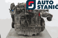 Motor VOLVO V50 (D5244T13) | OEM: 6906164, 36050391 (M66)