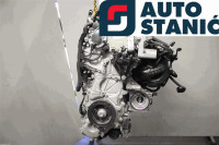 Motor TOYOTA RAV4 XA50 (A25A-FXS) | OEM: 190002E010 (5NM,)