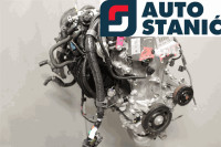 Motor TOYOTA YARIS XP130 (2NR-FKE) | OEM: 190000Y300 (12EPP30261791406