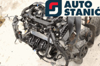 Motor TOYOTA YARIS XP130 (1NR-FE) | OEM: 1900047171