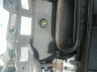Motor FIAT DUCATO (F1AE0481N) | OEM: 71771715