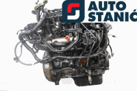 Motor FORD FOCUS (G8DD) | OEM: 1679684 (MTX75)