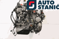 Motor FORD FOCUS (NGDB) | OEM: 1853559 (B6)