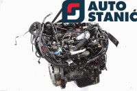 Motor FORD FOCUS (T1DB) | OEM: 1733055