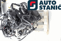 Motor FORD TRANSIT/TOURNEO CONNECT (XXGA) | OEM: 2039109