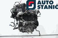 Motor NISSAN X_TRAIL (M9R) | OEM: 1010201Q1H