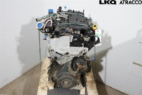 Motor OPEL MOVANO B (M9T-702) | OEM: 95523974
