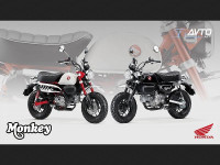 Honda Z125MA MONKEY ABS