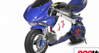 Mini Moto Eco Pocket Bike 800W
