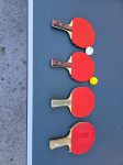 miza za namizni tenis