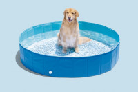 Bazenček za pse