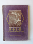 AVGUST MUNDA, RIBE V SLOVENSKIH VODAH, 1926
