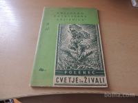 CVETJE IN ŽIVALI A. POLENEC SLOVENSKI KNJIŽNI ZAVOD 1951